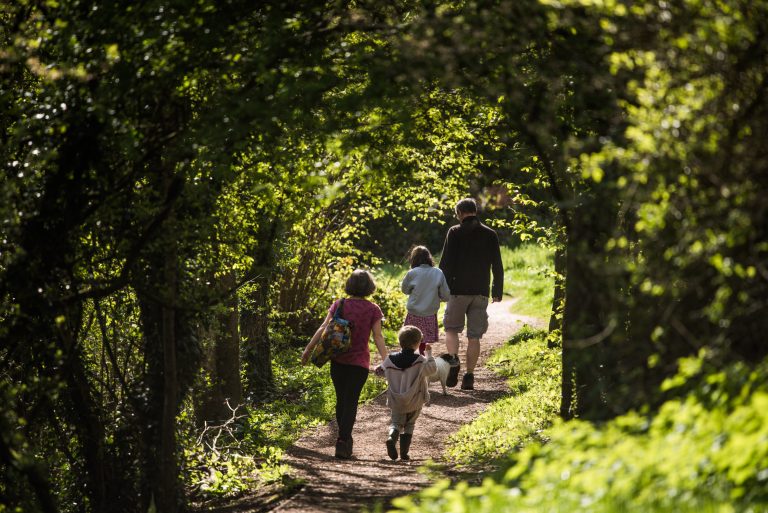 Devon Wildlife Trust