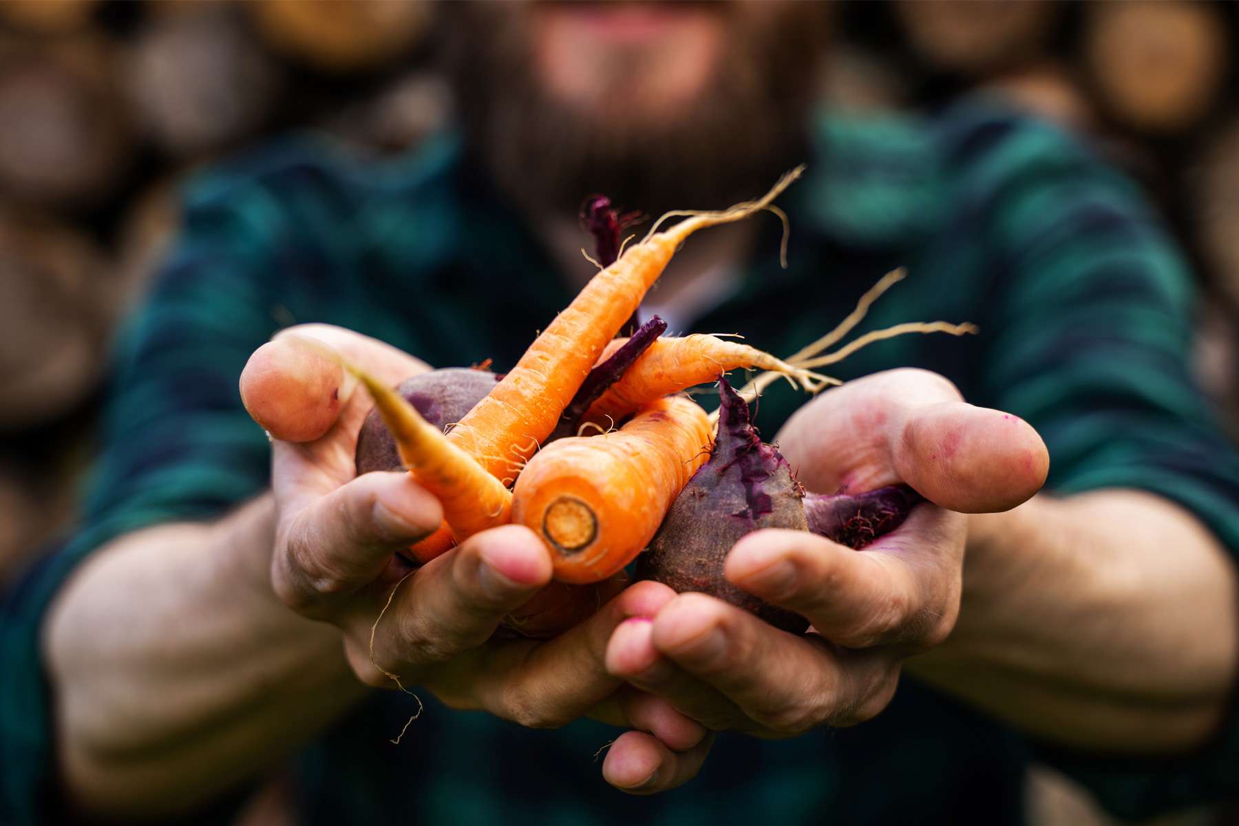 The North-East Sustainable Food Alliance